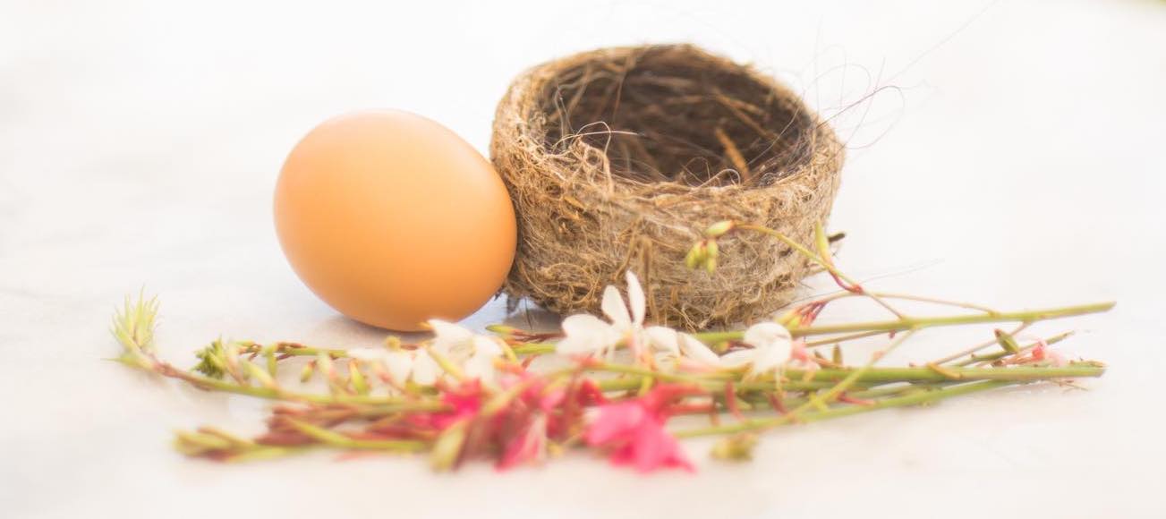 Photograph of an egg, nest and flowers